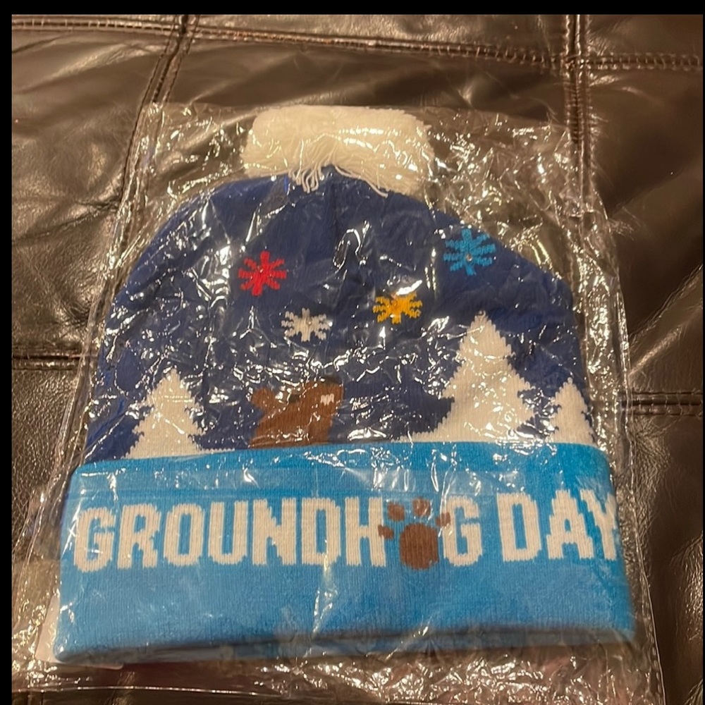 Groundhogs day light up hat
